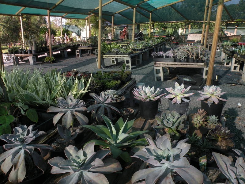 95 Ironmonger St, Calliope QLD 4680