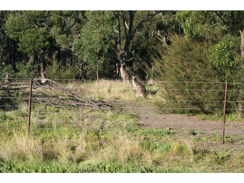 144 Memorial Drive, Plenty VIC 3090