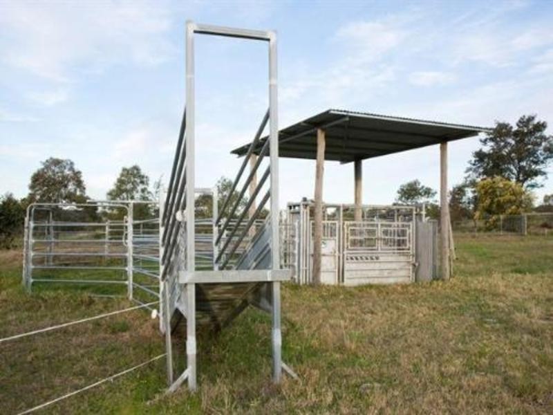 Maitland NSW 2320
