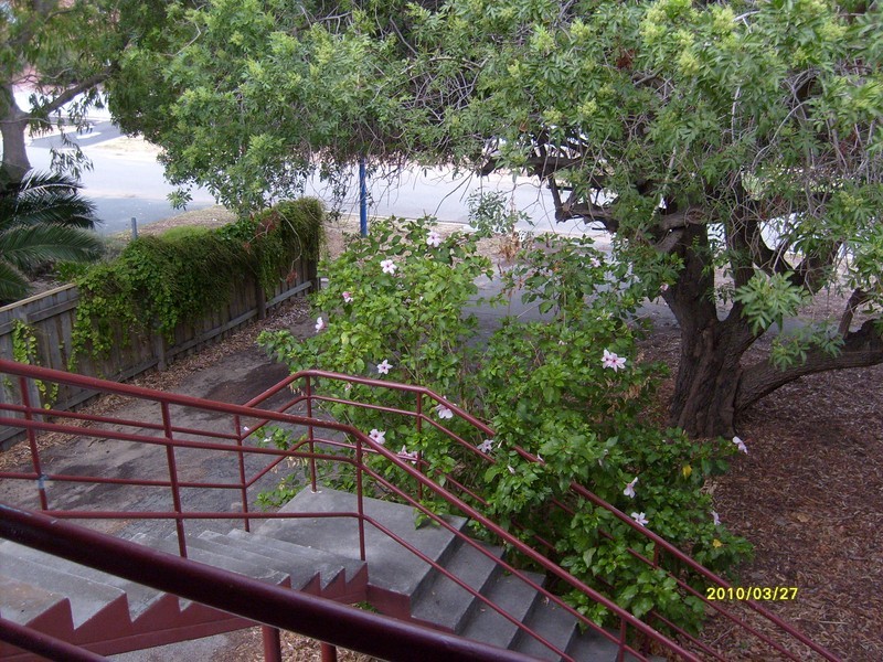 3/7 Fortescue St, East Fremantle WA 6158