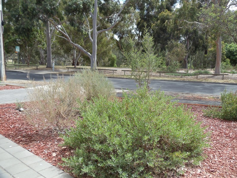 41B Riverside Drive, Felixstow SA 5070