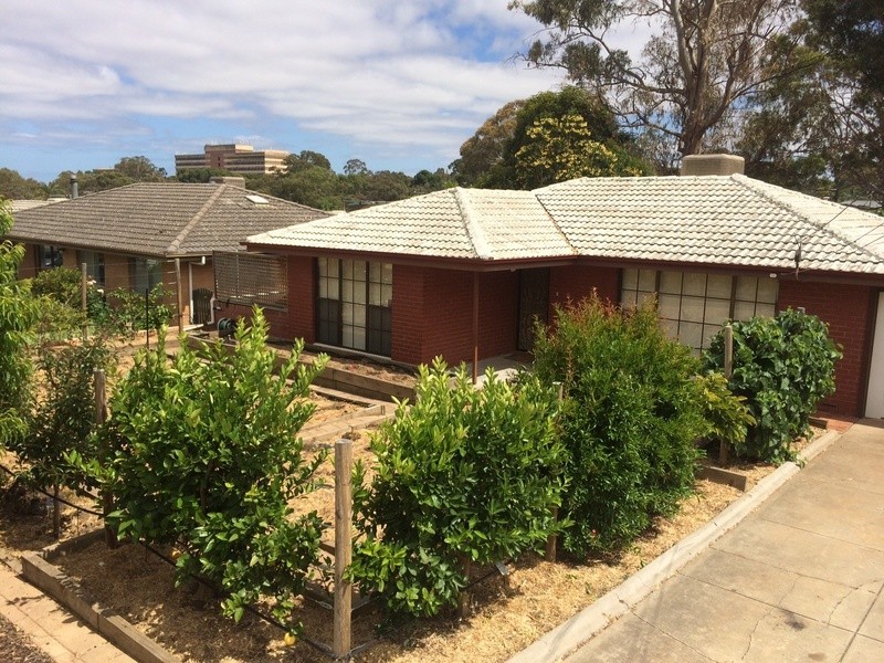 20 Glengyle Avenue, Modbury SA 5092