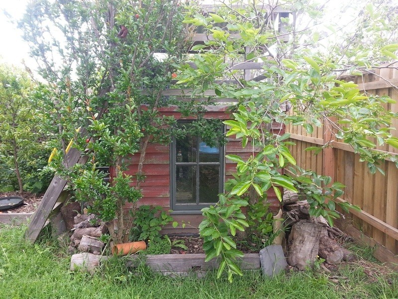 48 Scarlet Drive, Doveton VIC 3177