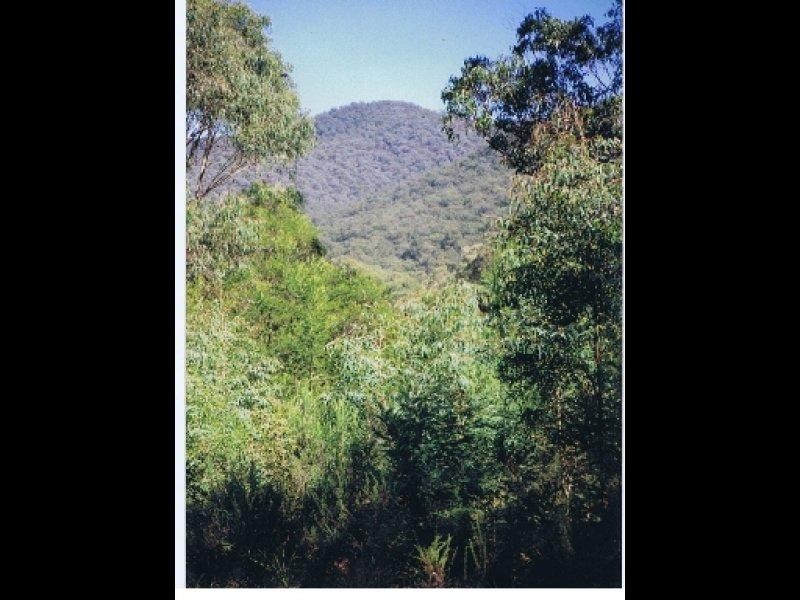 Lot 687 Goughs Road, Yowrie NSW 2550