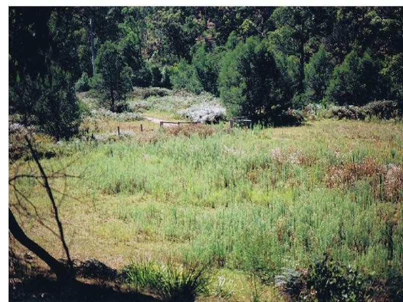 Lot 687 Goughs Road, Yowrie NSW 2550