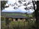 10 Heald Road, Travellers Rest TAS 7250