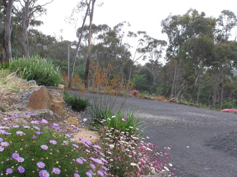 10 Heald Road, Travellers Rest TAS 7250