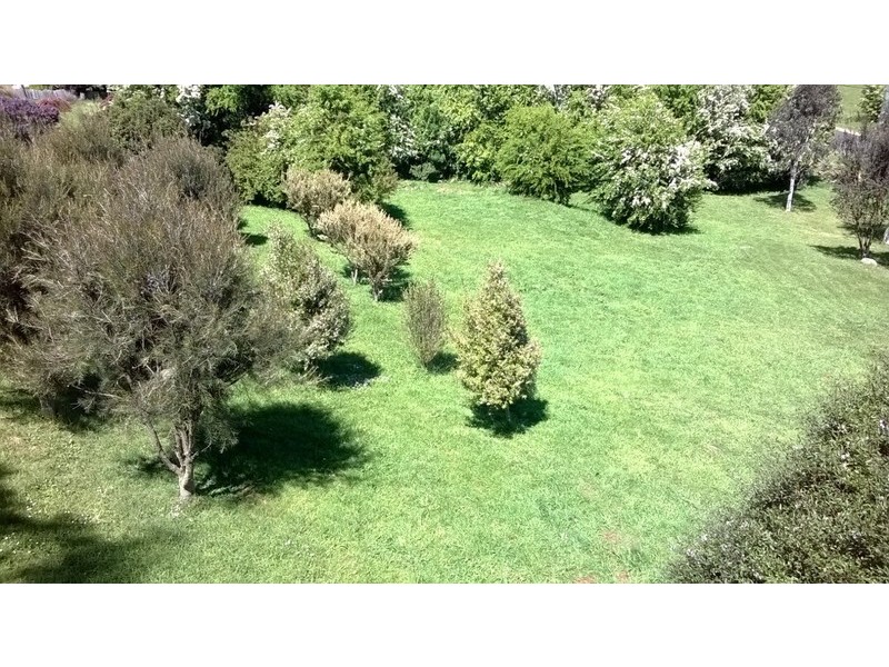 63 West Barrack Street, Deloraine TAS 7304