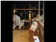 19 The Cove, Magnetic Island QLD 4819