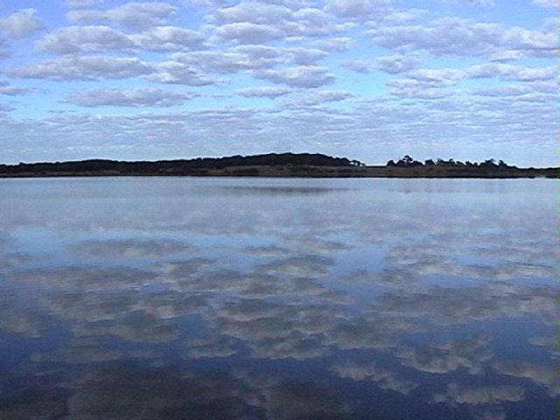 11 Finniss Street, Clayton SA 5256