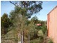 4 Cootamundra Court, Dodges Ferry TAS 7173