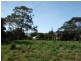 4 Cootamundra Court, Dodges Ferry TAS 7173