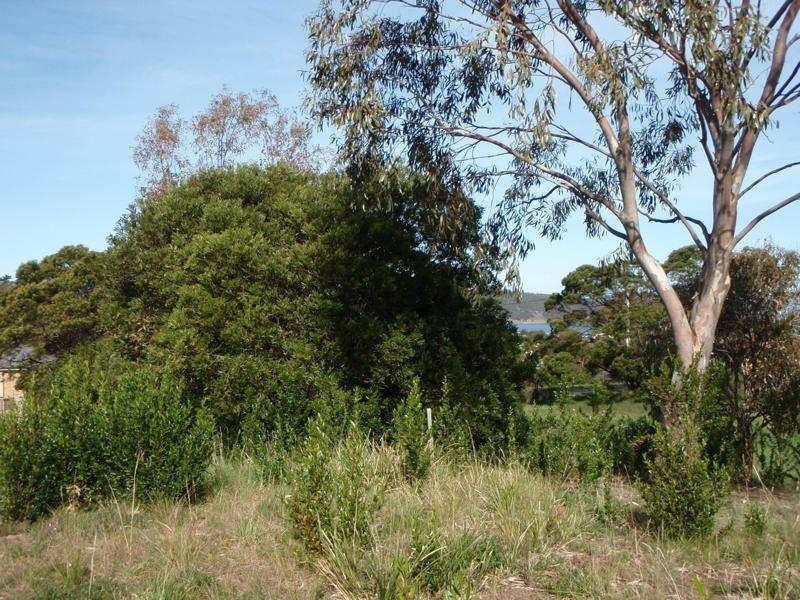 4 Cootamundra Court, Dodges Ferry TAS 7173