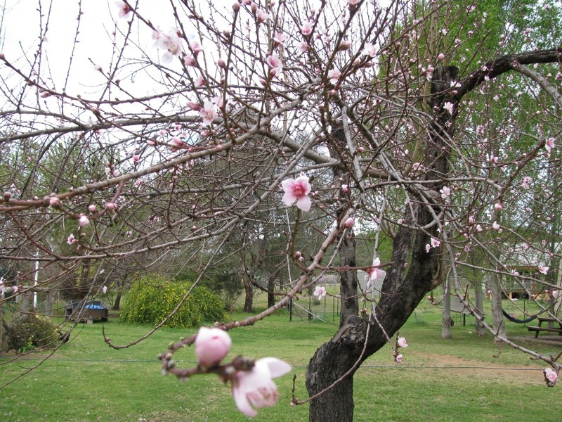 22 Morrisseys Road, Coonabarabran NSW 2357