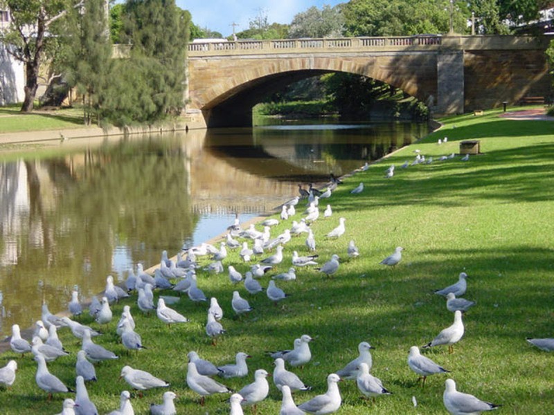 116/18 Sorrell Street, Parramatta NSW 2150