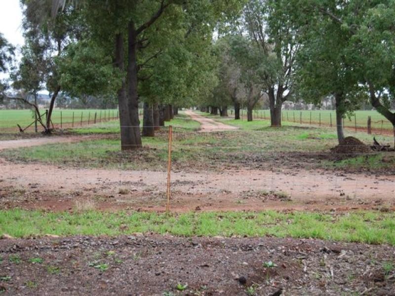 3740 Narrandera Road, Colinroobie NSW 2700