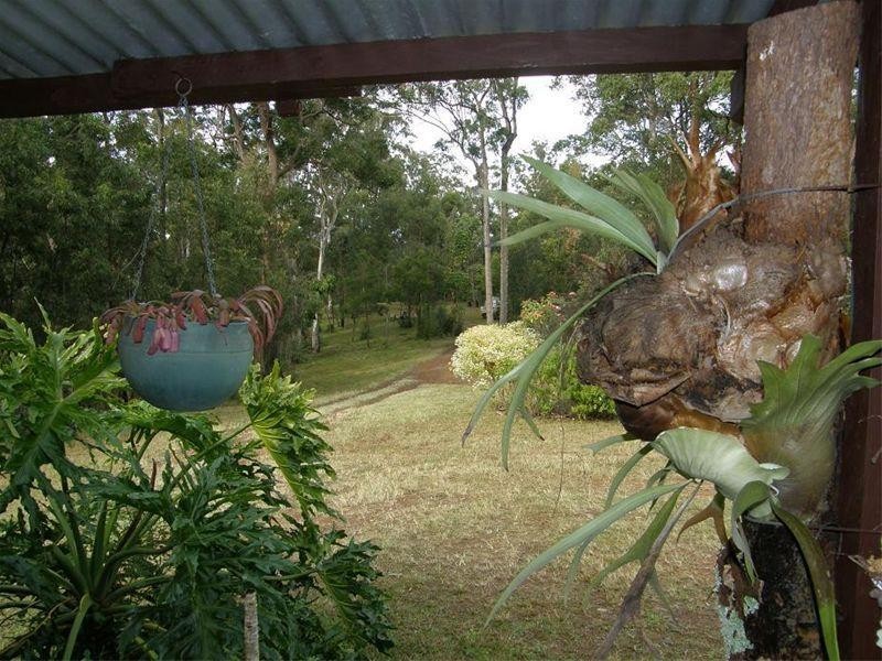 262 Black Mountain Road, Nymboida NSW 2460