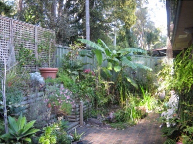 6/43 Rainforest Street, Wyoming NSW 2250