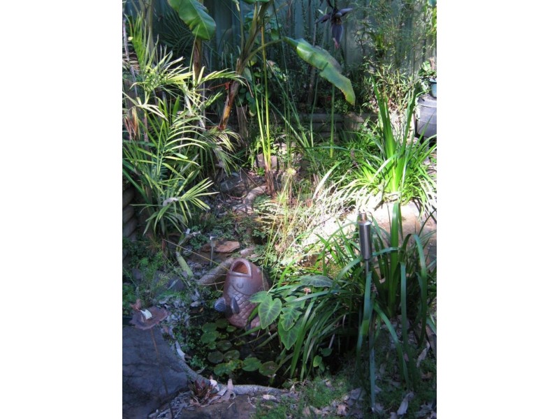 6/43 Rainforest Street, Wyoming NSW 2250