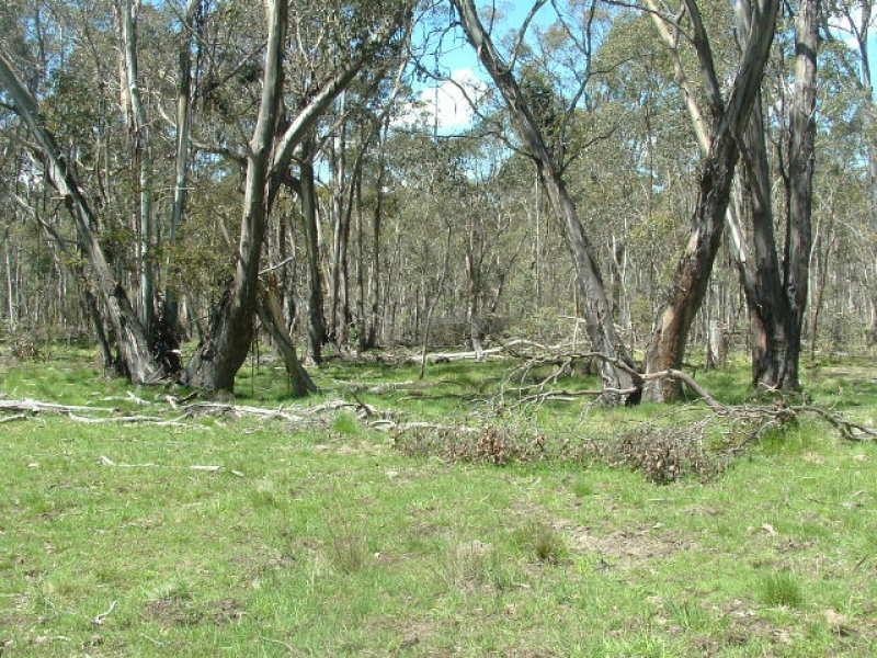 Tumbarumba NSW 2653
