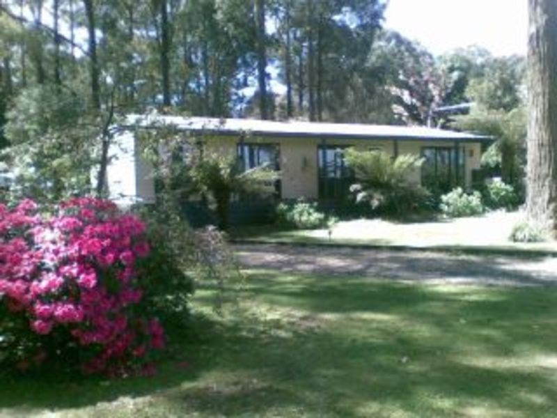 305 Glenburn Road, Kinglake VIC 3763