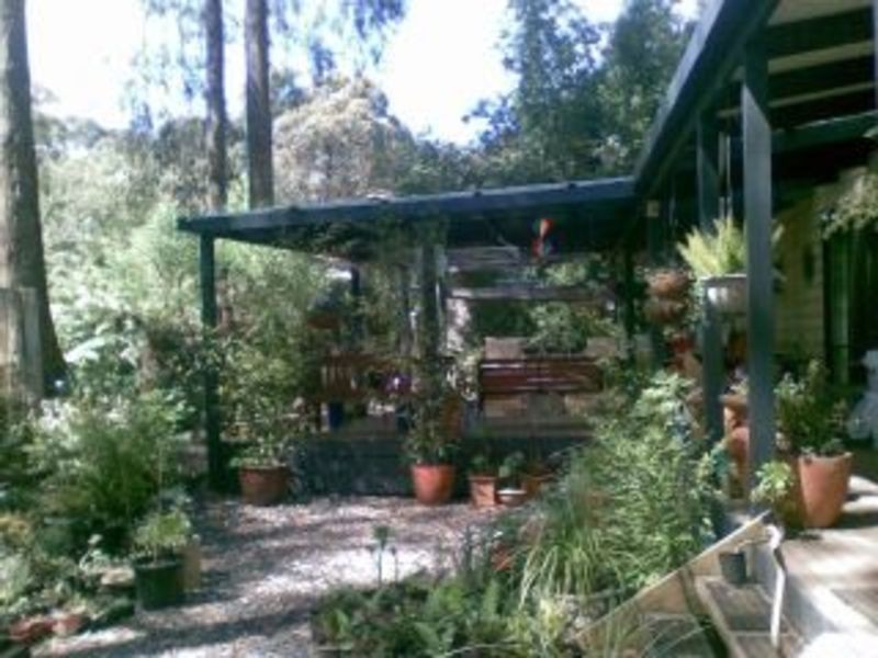 305 Glenburn Road, Kinglake VIC 3763