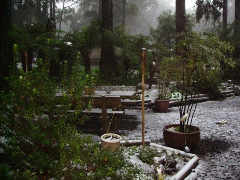 305 Glenburn Road, Kinglake VIC 3763