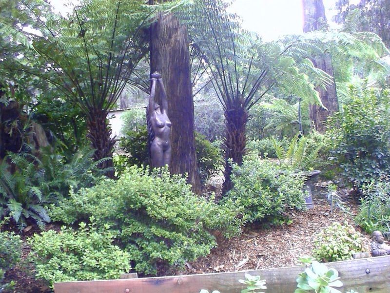 305 Glenburn Road, Kinglake VIC 3763