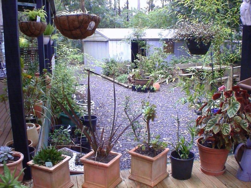 305 Glenburn Road, Kinglake VIC 3763