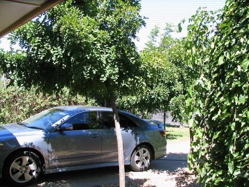 1 Cummins Avenue, Moree NSW 2400