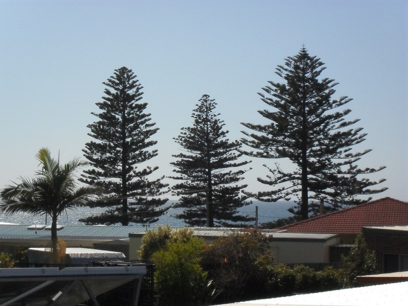 48 Beach Street, Tuross Head NSW 2537