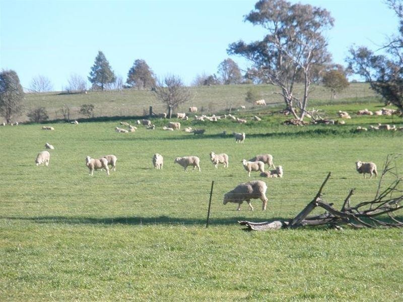 158 Nangar Road, Canowindra NSW 2804