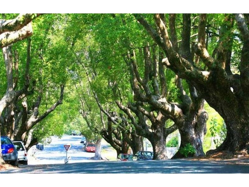 3/4 Abbott St, New Farm QLD 4005