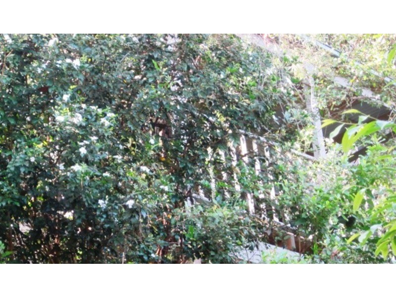 9 Glenworth Valley Road, Wendoree Park NSW 2250