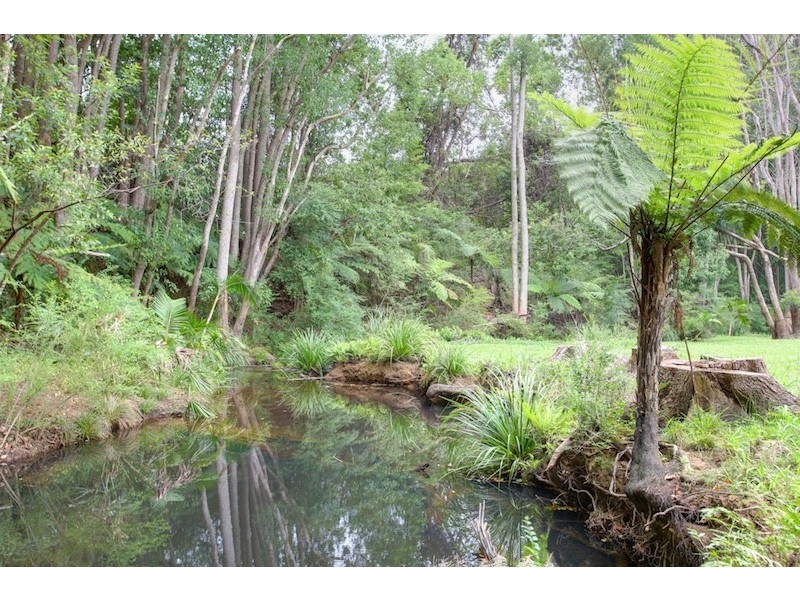 62 Bakker Drive, Bonville NSW 2441