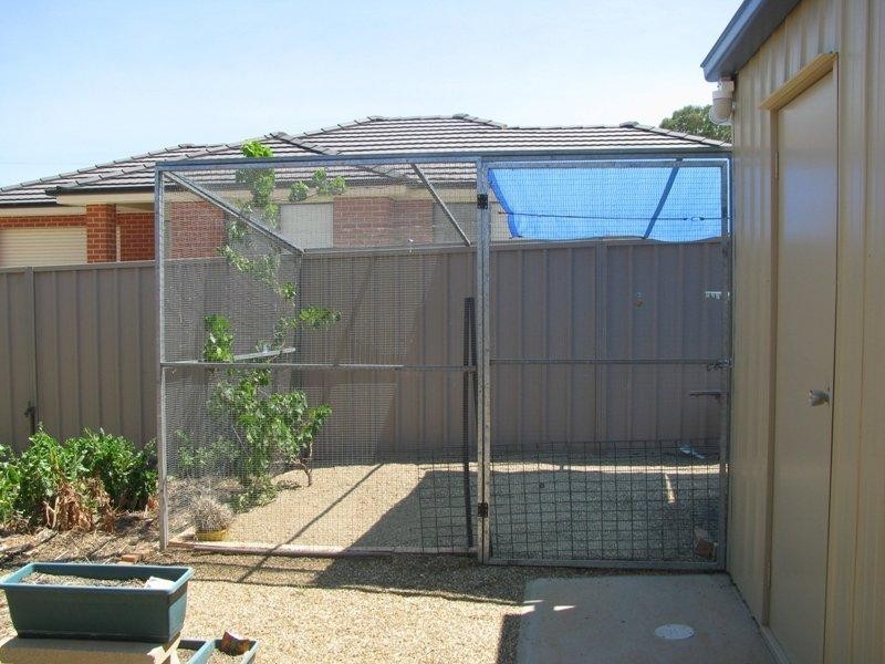 49 Jack Avenue, Wagga Wagga NSW 2650