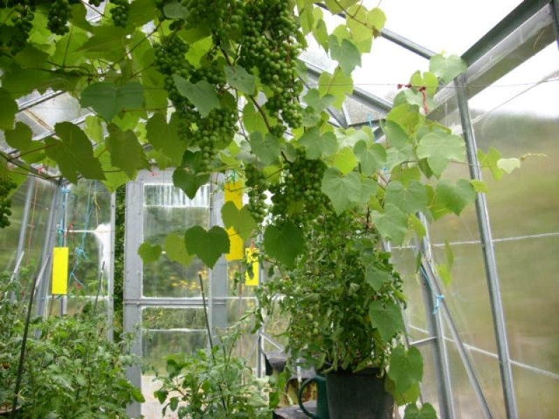 4120 Channel Hwy, Flowerpot TAS 7163