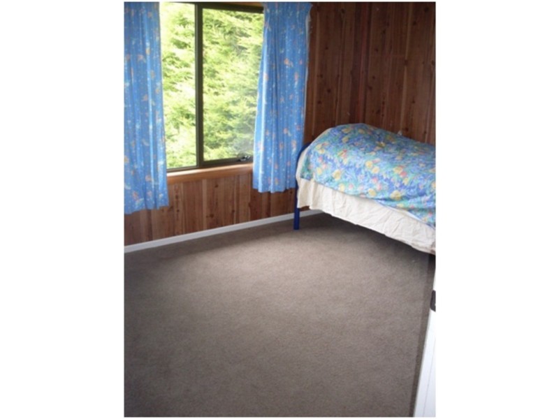 1 Little Quiggins St, Waratah TAS 7321