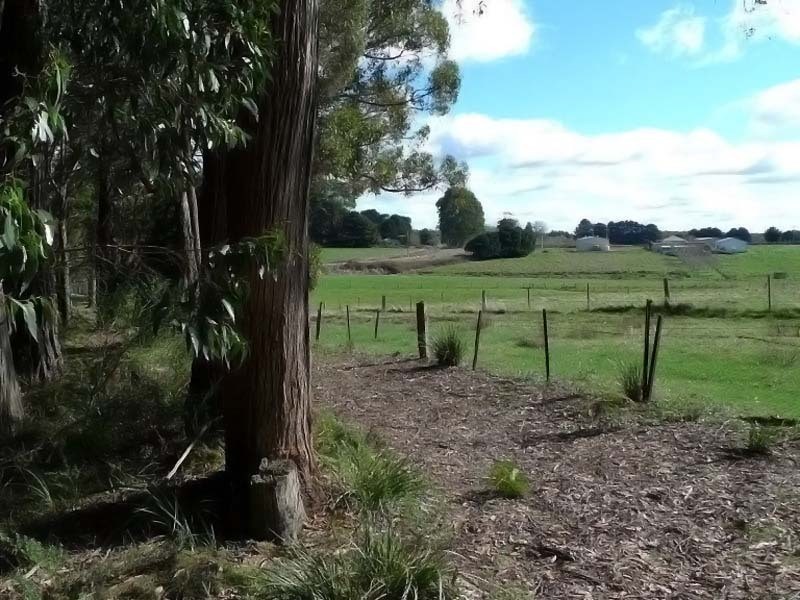 605 Daylesford Trentham Road, Musk VIC 3461