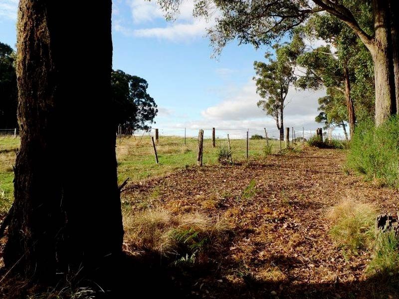 605 Daylesford Trentham Road, Musk VIC 3461