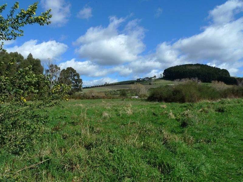 605 Daylesford Trentham Road, Musk VIC 3461