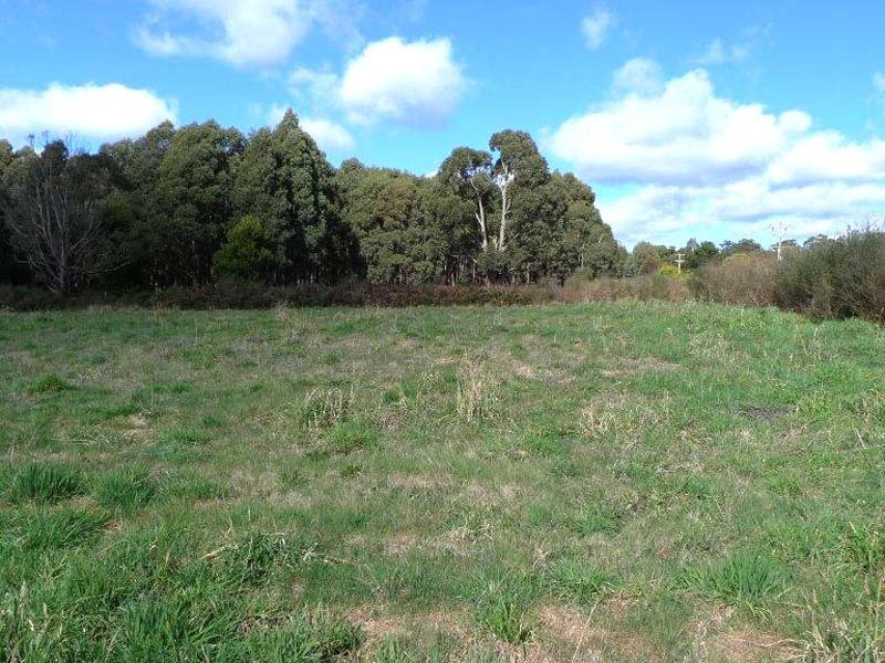 605 Daylesford Trentham Road, Musk VIC 3461