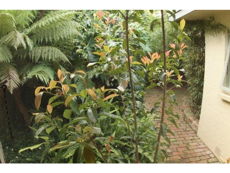 1/33 Foch St, Box Hill South VIC 3128