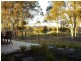 8  Ironbark Drive, Pokolbin NSW 2320