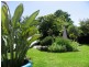 41 Lyttleton Street, East Launceston TAS 7250