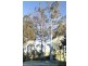 191 Lindsays Rd, Boambee NSW 2450