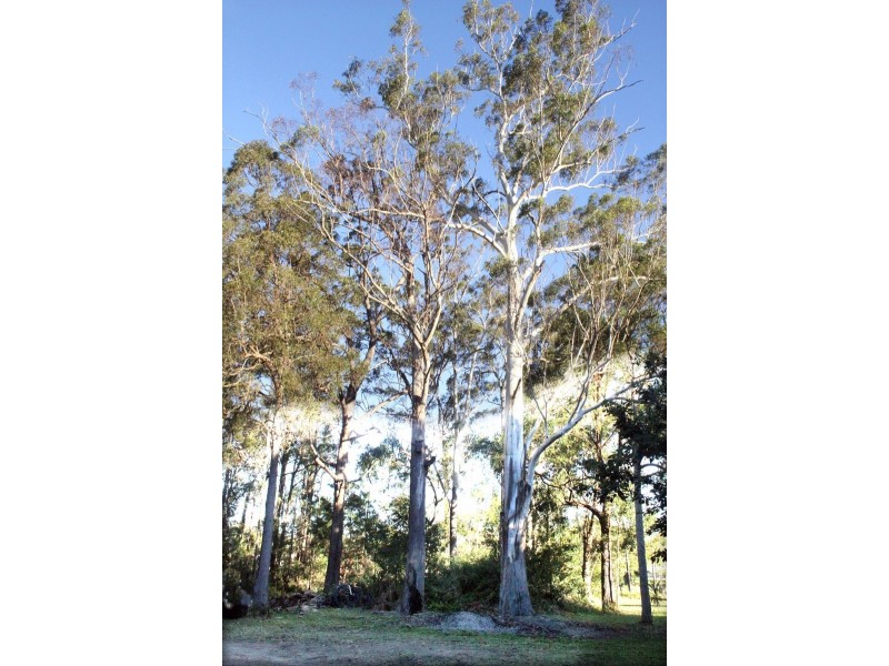 191 Lindsays Rd, Boambee NSW 2450