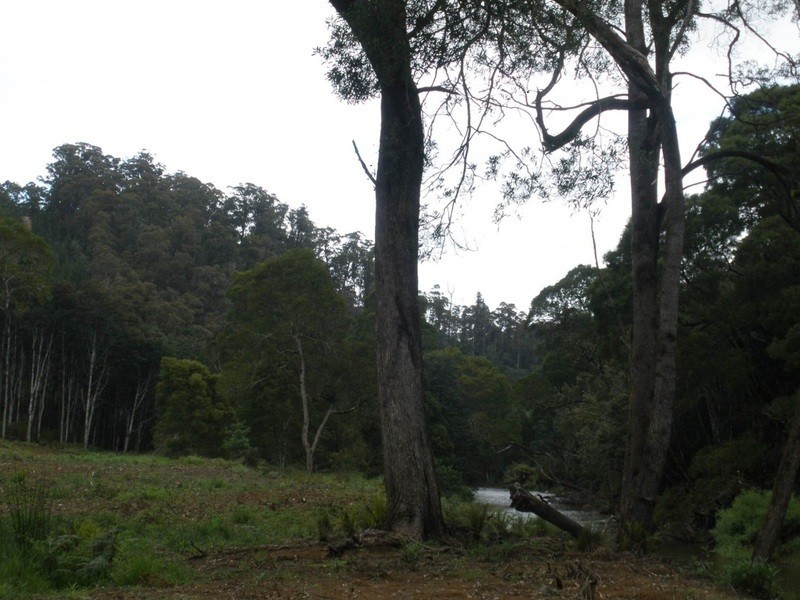 232 Zig Zag Road, Calder TAS 7325