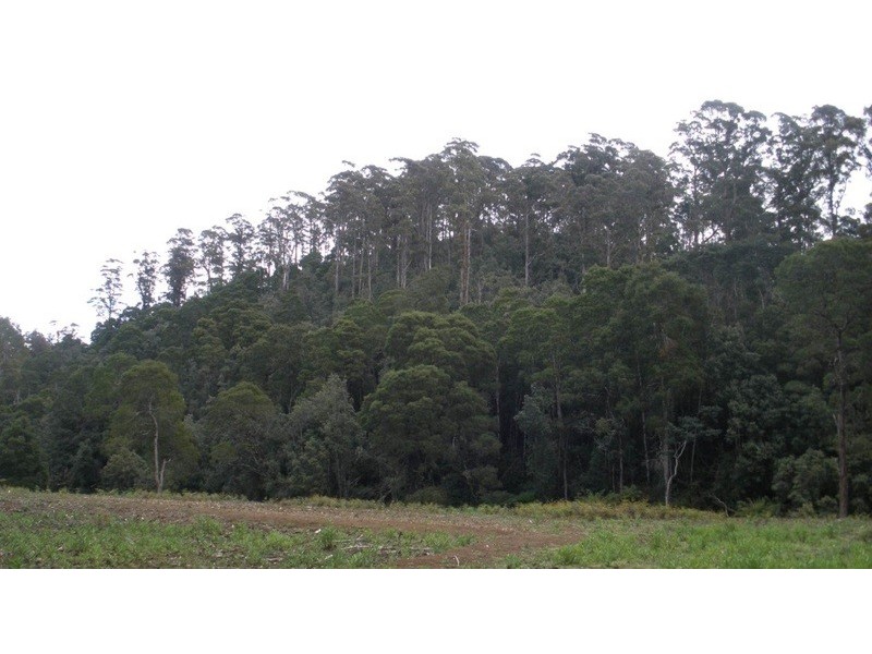 232 Zig Zag Road, Calder TAS 7325