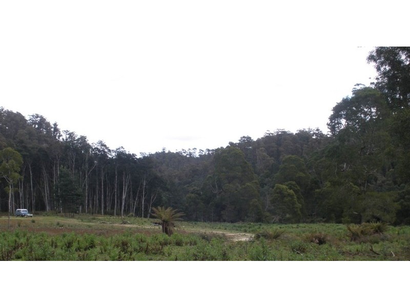 232 Zig Zag Road, Calder TAS 7325